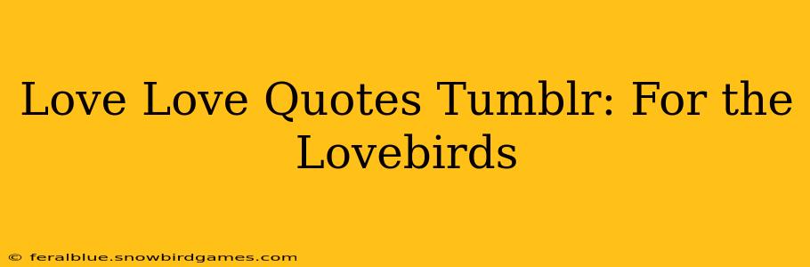 Love Love Quotes Tumblr: For the Lovebirds