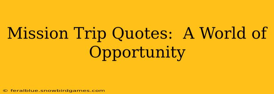 Mission Trip Quotes:  A World of Opportunity