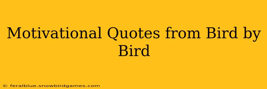 Motivational Quotes from Bird by Bird