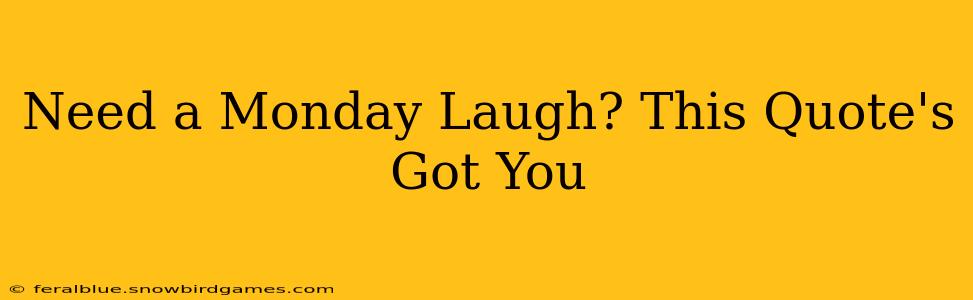 Need a Monday Laugh? This Quote's Got You