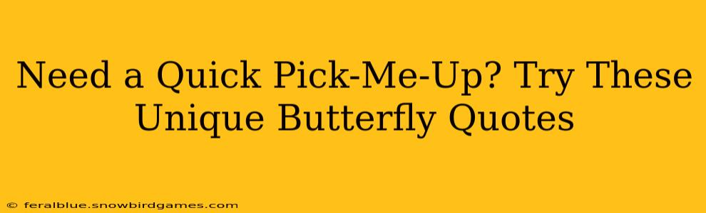 Need a Quick Pick-Me-Up? Try These Unique Butterfly Quotes