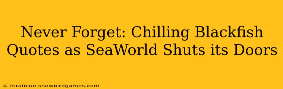 Never Forget: Chilling Blackfish Quotes as SeaWorld Shuts its Doors