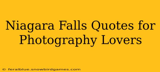 Niagara Falls Quotes for Photography Lovers