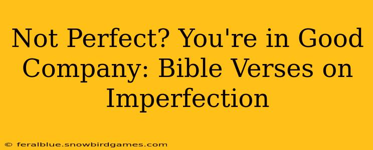 Not Perfect? You're in Good Company: Bible Verses on Imperfection