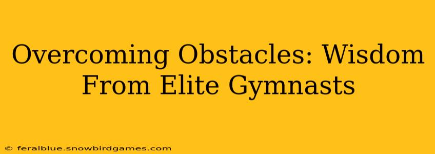 Overcoming Obstacles: Wisdom From Elite Gymnasts