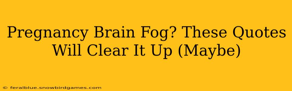 Pregnancy Brain Fog? These Quotes Will Clear It Up (Maybe)