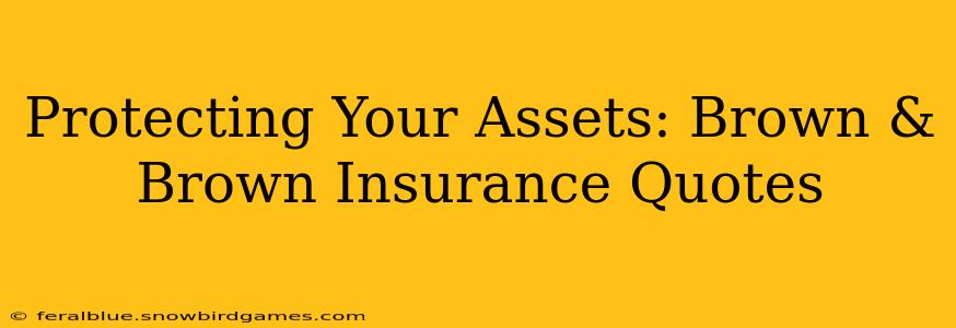Protecting Your Assets: Brown & Brown Insurance Quotes