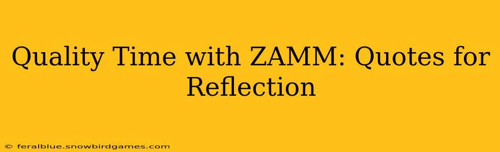 Quality Time with ZAMM: Quotes for Reflection