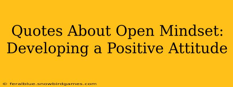 Quotes About Open Mindset:  Developing a Positive Attitude