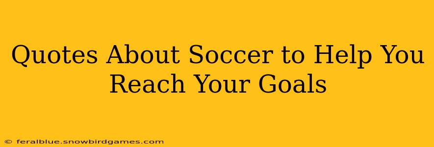 Quotes About Soccer to Help You Reach Your Goals