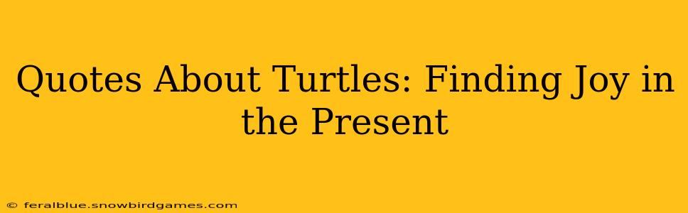 Quotes About Turtles: Finding Joy in the Present