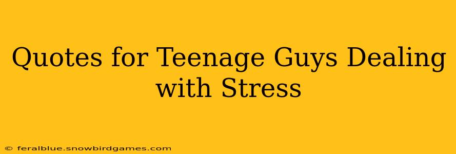 Quotes for Teenage Guys Dealing with Stress