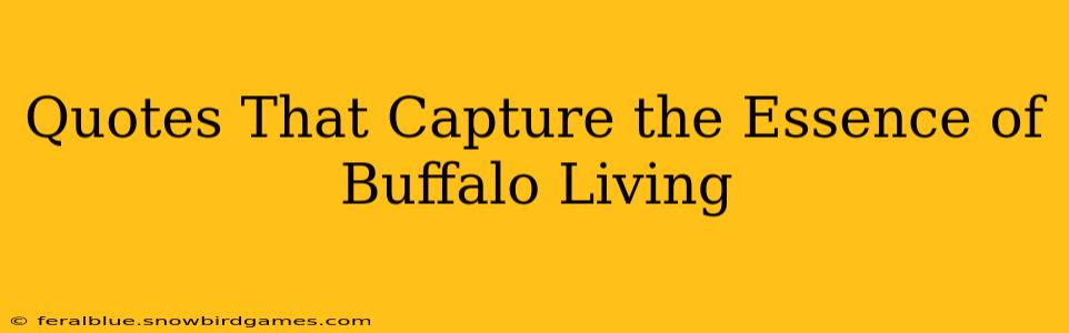 Quotes That Capture the Essence of Buffalo Living