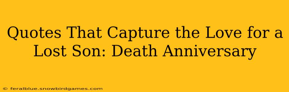 Quotes That Capture the Love for a Lost Son: Death Anniversary