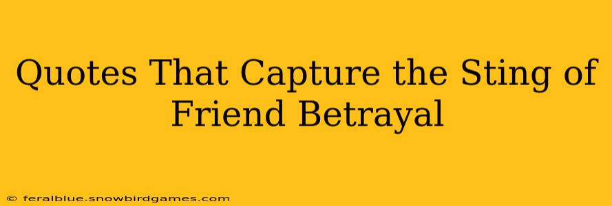 Quotes That Capture the Sting of Friend Betrayal