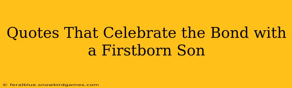 Quotes That Celebrate the Bond with a Firstborn Son