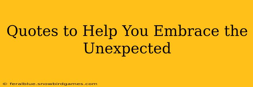 Quotes to Help You Embrace the Unexpected