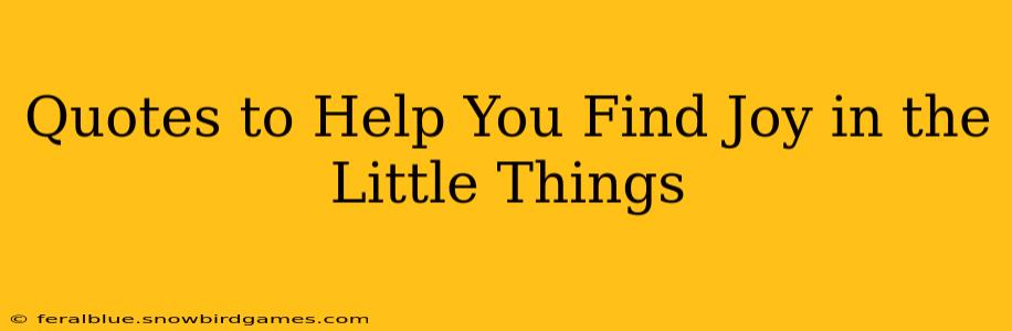 Quotes to Help You Find Joy in the Little Things