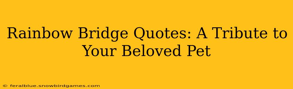 Rainbow Bridge Quotes: A Tribute to Your Beloved Pet