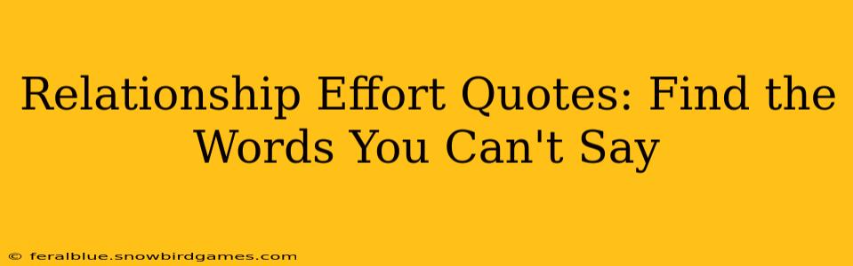 Relationship Effort Quotes: Find the Words You Can't Say