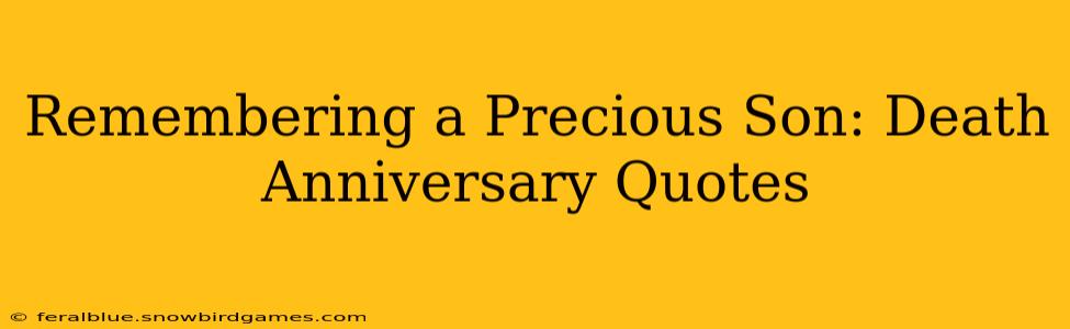 Remembering a Precious Son: Death Anniversary Quotes
