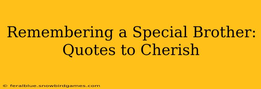 Remembering a Special Brother: Quotes to Cherish