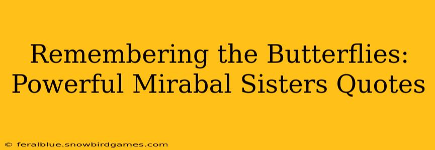 Remembering the Butterflies: Powerful Mirabal Sisters Quotes