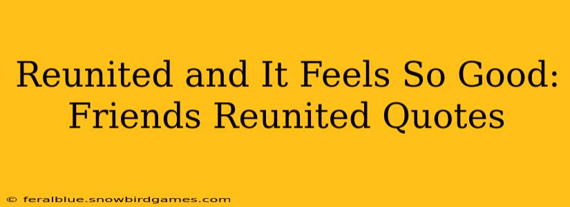 Reunited and It Feels So Good: Friends Reunited Quotes