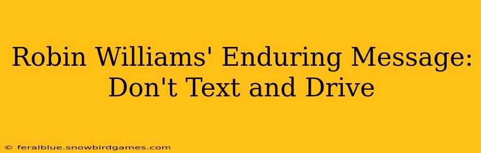 Robin Williams' Enduring Message: Don't Text and Drive