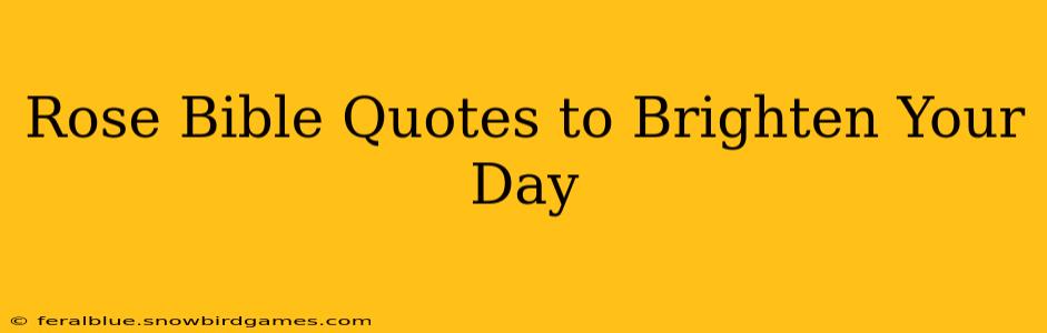 Rose Bible Quotes to Brighten Your Day