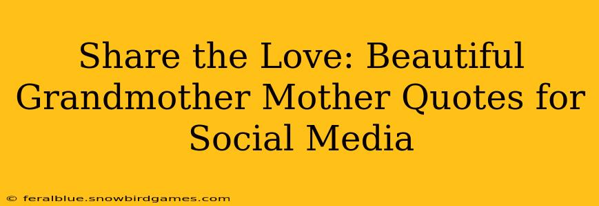 Share the Love: Beautiful Grandmother Mother Quotes for Social Media