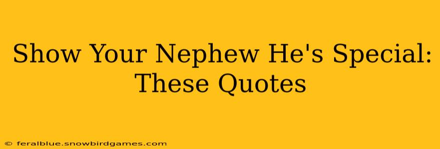 Show Your Nephew He's Special: These Quotes