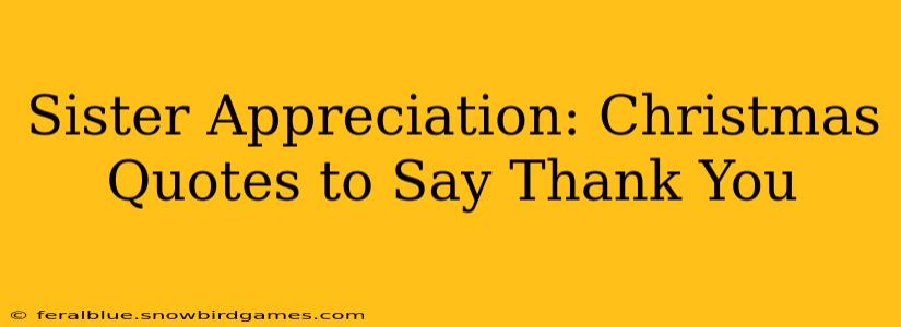 Sister Appreciation: Christmas Quotes to Say Thank You