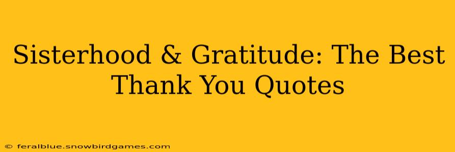 Sisterhood & Gratitude: The Best Thank You Quotes