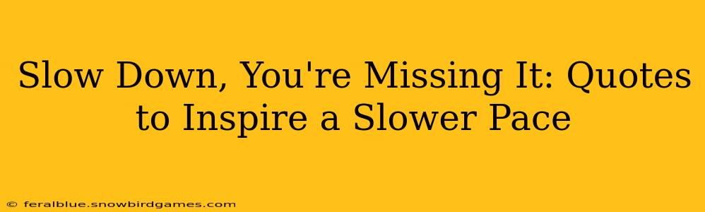 Slow Down, You're Missing It: Quotes to Inspire a Slower Pace