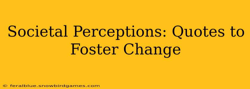 Societal Perceptions: Quotes to Foster Change