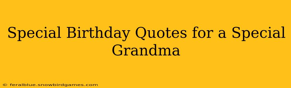 Special Birthday Quotes for a Special Grandma