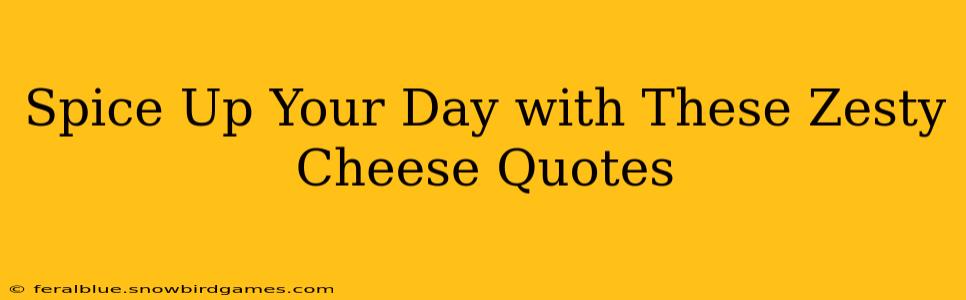 Spice Up Your Day with These Zesty Cheese Quotes
