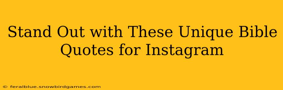 Stand Out with These Unique Bible Quotes for Instagram