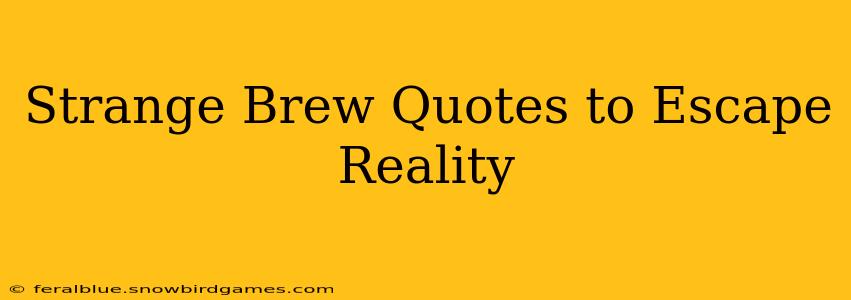 Strange Brew Quotes to Escape Reality