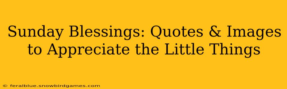 Sunday Blessings: Quotes & Images to Appreciate the Little Things