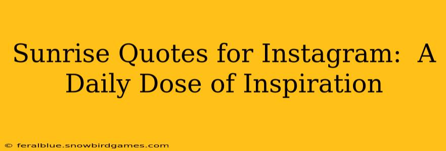 Sunrise Quotes for Instagram:  A Daily Dose of Inspiration