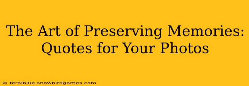 The Art of Preserving Memories: Quotes for Your Photos