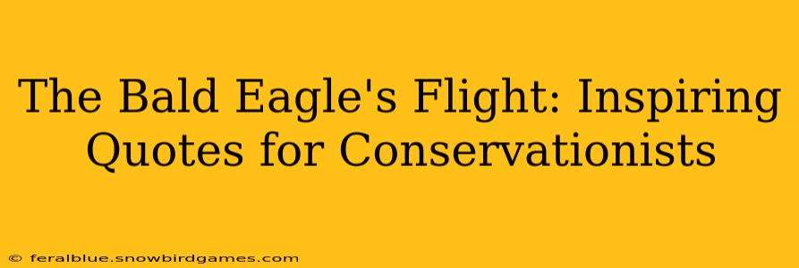 The Bald Eagle's Flight: Inspiring Quotes for Conservationists