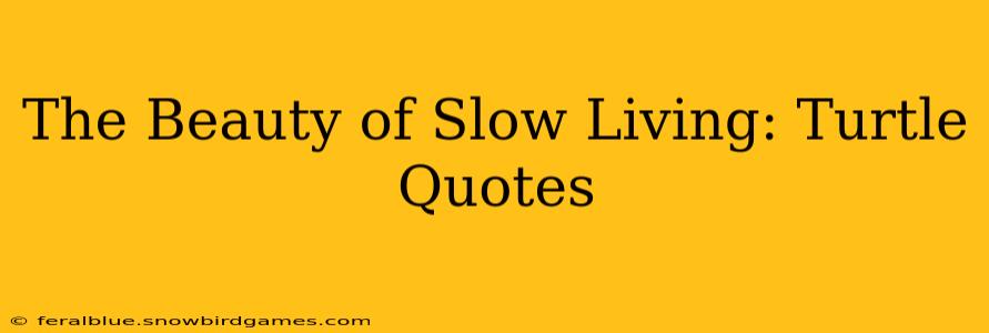 The Beauty of Slow Living: Turtle Quotes