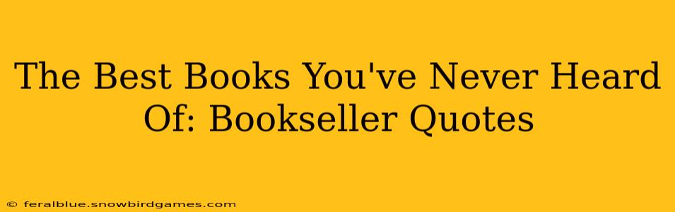 The Best Books You've Never Heard Of: Bookseller Quotes