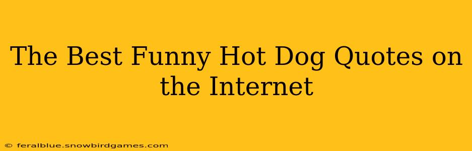 The Best Funny Hot Dog Quotes on the Internet