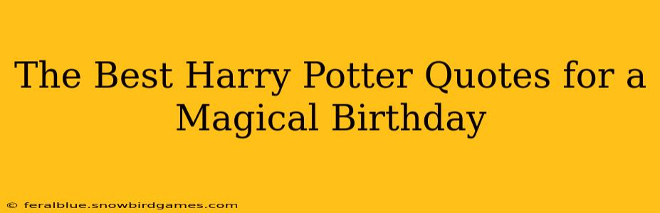 The Best Harry Potter Quotes for a Magical Birthday