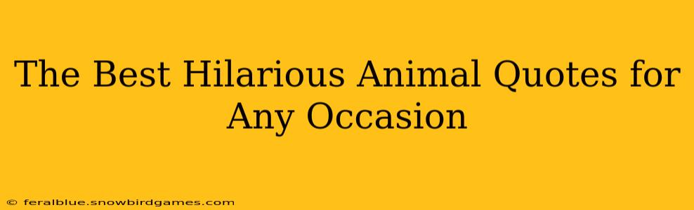 The Best Hilarious Animal Quotes for Any Occasion