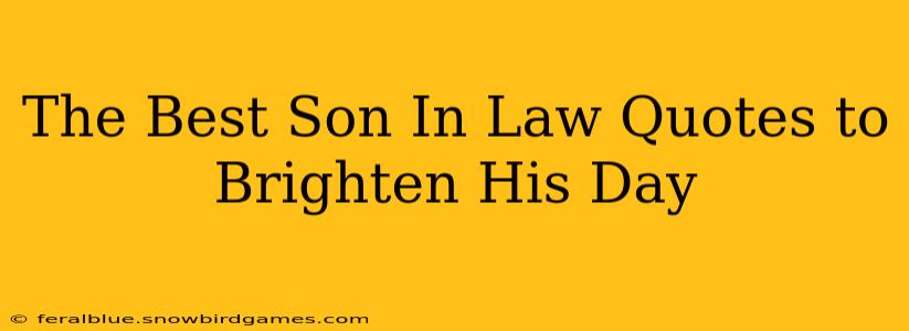 The Best Son In Law Quotes to Brighten His Day